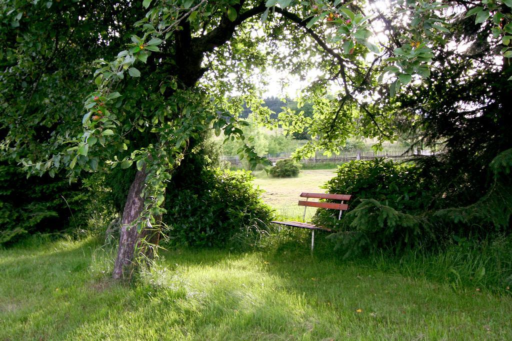 Penzion Muflon Bela nad Radbuzou Bagian luar foto