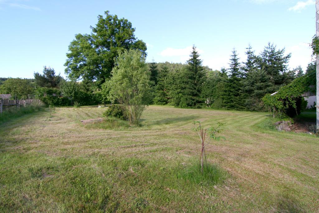 Penzion Muflon Bela nad Radbuzou Bagian luar foto